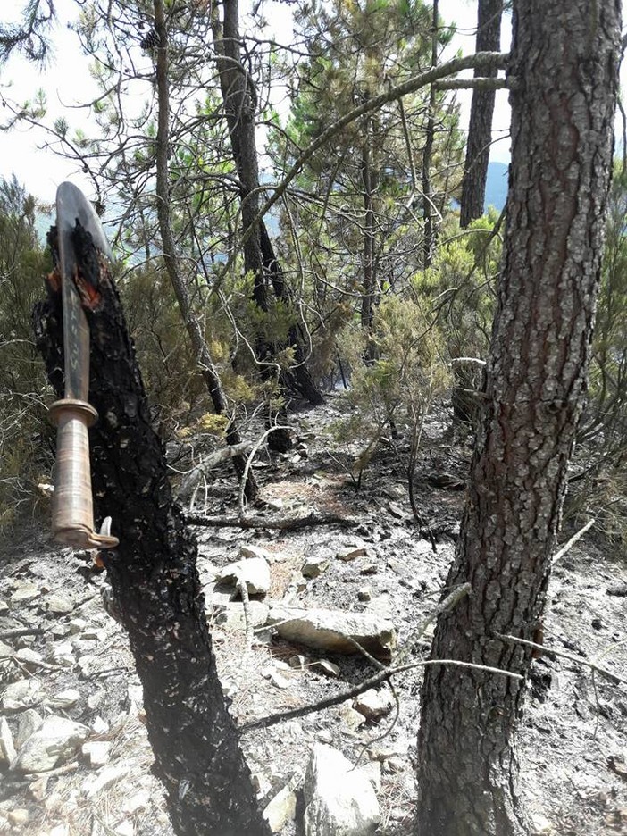 Incendio in località Canova, l'amministrazione comunale di Tovo ringrazia i vigili del fuoco e i volontari