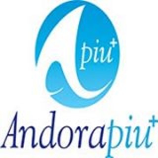 Andora, eletto il nuovo consiglio direttivo della lista civica "Andora Più"