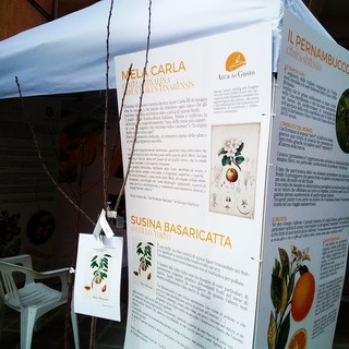 Successo per Agrumare a Finale Ligure: le testimonianze di tutti i protagonisti (FOTO e VIDEOINTERVISTE)