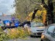 Savona, albero cade in via XX Settembre: problemi al traffico (FOTO) Savona, albero cade in via XX Settembre: problemi al traffico (FOTO)