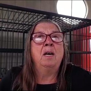 Sentenza Tirreno Power. &quot;Ho vergogna, mio marito morto due volte&quot;: la testimonianza di Adriana Caviglia