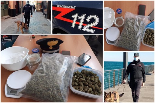 Alassio, pusher arrestato dai carabinieri: vendeva droga sul "Dark Web" e riceveva pagamenti in bitcoin (FOTO e VIDEO) Alassio, pusher arrestato dai carabinieri: vendeva droga sul "Dark Web" e riceveva pagamenti in bitcoin (FOTO e VIDEO)