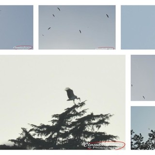 Video di Daniela Taverna