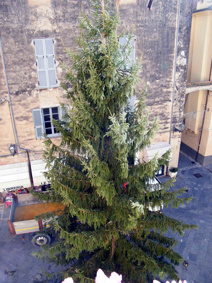 Albenga, ritorna l’albero di Natale in piazza San Michele