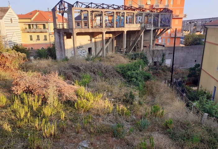 Nelle foto l'area ex Italcementi Nelle foto l'area ex Italcementi