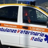 immagine di repertorio immagine di repertorio