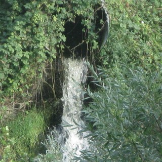 Arsenico nell'acqua di Tarquinia ed altri 35 comuni