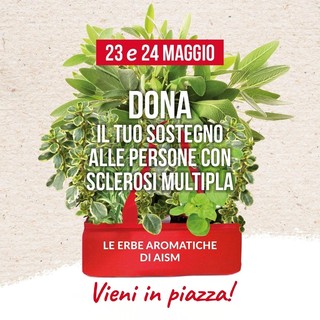 A Loano tornano le Erbe Aromatiche di Aism: ccon il ricavato sostegno concreto per le persone con sclerosi multipla e patologie correlate A Loano tornano le Erbe Aromatiche di Aism: ccon il ricavato sostegno concreto per le persone con sclerosi multipla e patologie correlate