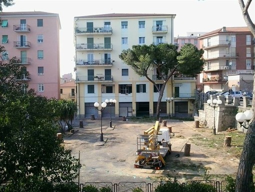 Abbattimento Pini in Piazza Matteotti ad Albenga, in Zona tutelata da Vincolo Monumentale Abbattimento Pini in Piazza Matteotti ad Albenga, in Zona tutelata da Vincolo Monumentale