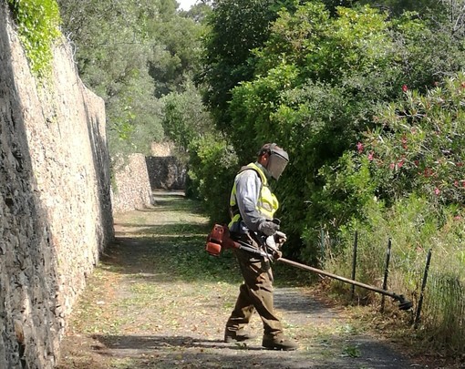Andora, iniziato lo sfalcio delle zone del centro e delle frazioni Andora, iniziato lo sfalcio delle zone del centro e delle frazioni