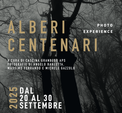 A Sassello la mostra-experience "Alberi centenari" A Sassello la mostra-experience "Alberi centenari"