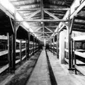 Savona, incontro al Palazzo Vescovile : "La deportazione nei campi di concentramento nazisti"