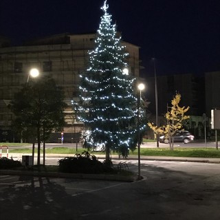 Grande attesa a Borghetto Santo Spirito per l'accensione dell'albero di Natale