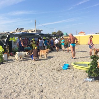 Albenga, riaperta la spiaggia Enpa "Amare Fido" (FOTO)