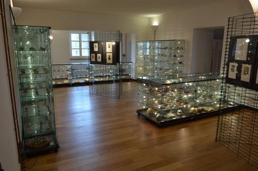 Andora, il "Museo Dabroi" inaugura una nuova collezione di minerali provenienti dalla "collezione Harmen Schipper" Andora, il "Museo Dabroi" inaugura una nuova collezione di minerali provenienti dalla "collezione Harmen Schipper"