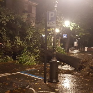 Il forte vento flagella il savonese: disagi in tutta la provincia (FOTO e VIDEO)