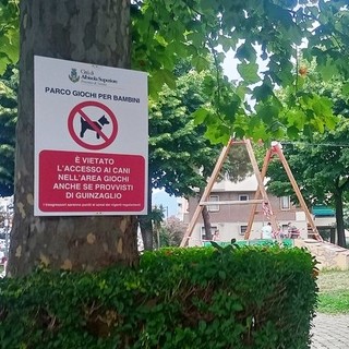 Cani esclusi dai parchi, una cittadina: "Colpire l’inciviltà, non gli animali"