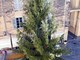 Albenga, ritorna l’albero di Natale in piazza San Michele
