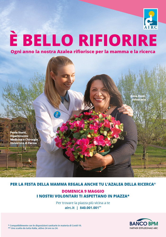 Varazze, domenica 9 maggio appuntamento in piazza Bovani con l'Azalea della Ricerca AIRC