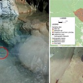Borgio Verezzi, anguilla avvistata nella Grotta di Valdemino: un rifugio nascosto per una specie a rischio