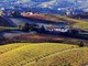 Vuoi organizzare una visita con degustazione in cantina? L’azienda agricola Ivaldi riapre le porte ai visitatori