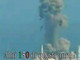 Tonni radioattivi ex Fukushima al largo della California Tonni radioattivi ex Fukushima al largo della California