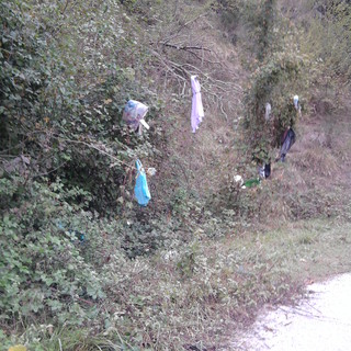 A Cairo Montenotte spunta l'albero della spazzatura