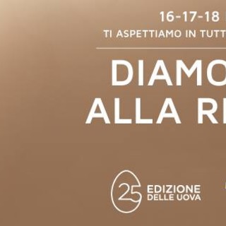 Immagine tratta dalla pagina Facebook AIL Associazione Italiana contro le Leucemie-linfomi e mieloma ONLUS