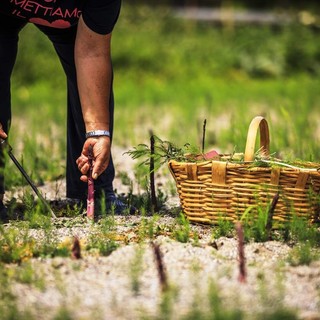 Ad Albenga il convegno "Agricoltura 4.0- Dal presente al futuro" promosso dal Rotary Club