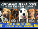 "Condannati senza colpe": per le vie di Savona l'appello della Lega Nazionale per la Difesa del Cane