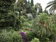 Nasce &quot;Ligurian Gardens&quot;: la Regione promuove i più bei parchi delle ville liguri