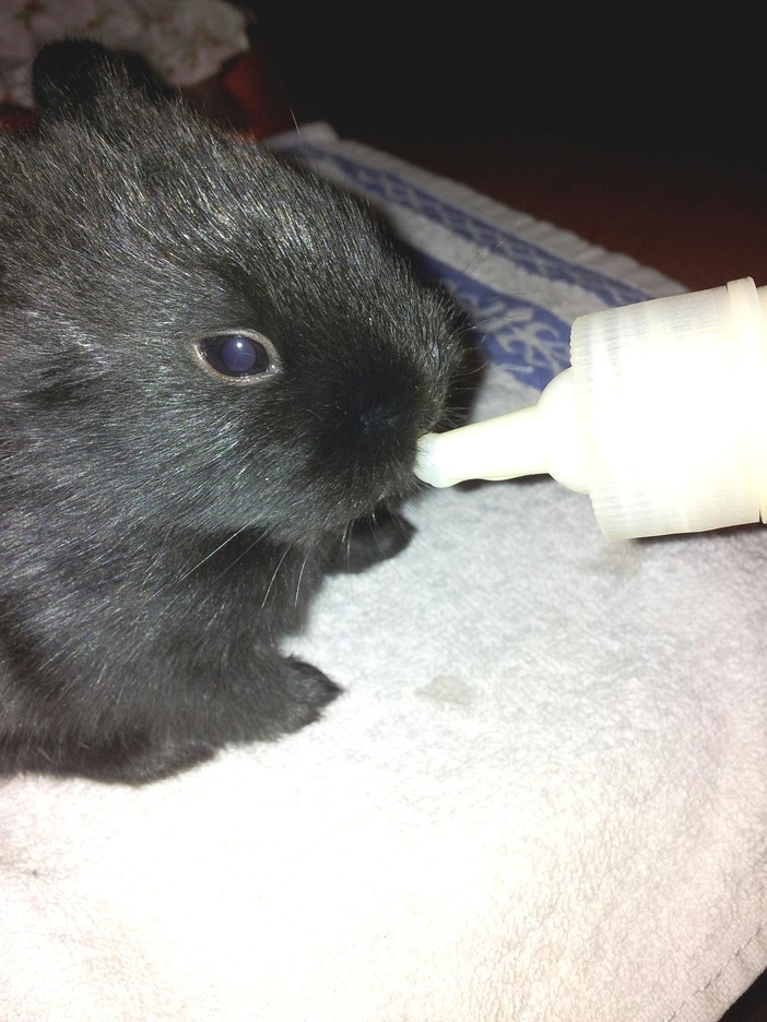 Ai confini della realtà: cede altalena (nuova) nei giardini di Millesimo, ferite due bambine