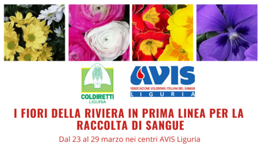 Accordo Avis - Coldiretti Liguria: i fiori della riviera in prima linea per la raccolta di sangue