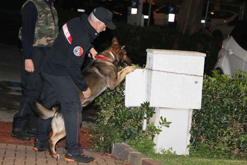 Foto Silvio Fasano Foto Silvio Fasano