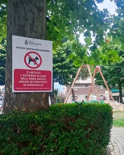 Cani esclusi dai parchi, una cittadina: "Colpire l’inciviltà, non gli animali"