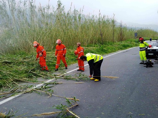 Esercitazione della Protezione Civile nel comprensorio di Borghetto Santo Spirito Esercitazione della Protezione Civile nel comprensorio di Borghetto Santo Spirito