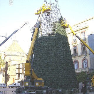 Savona: Enpa "un albero di Natale artificiale per il Comune"