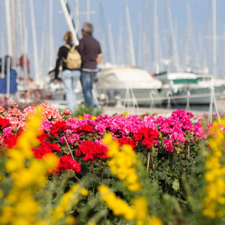 Ad Imperia nel weekend torna "Aregai in Fiore"