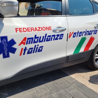 Animali in difficoltà a Loano: dal 1° settembre attivo il servizio di ambulanza veterinaria