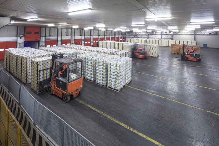 APM Terminals: altri 3 anni per banane e frutta con il Gruppo Orsero APM Terminals: altri 3 anni per banane e frutta con il Gruppo Orsero