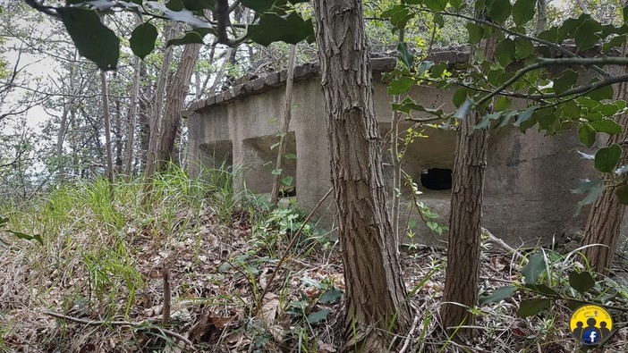 Arenzano, scoperti nuovi manufatti bellici dal ricercatore savonese Claudio Arena (FOTO) Arenzano, scoperti nuovi manufatti bellici dal ricercatore savonese Claudio Arena (FOTO)