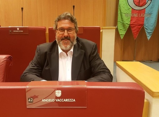 Consiglio regionale sul rigassificatore, Vaccarezza replica alla minoranza: "Dice no ma non sa perché"