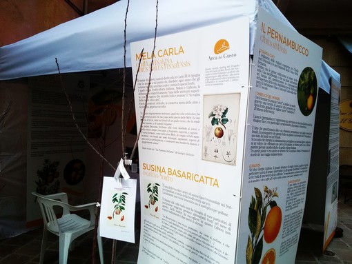 Successo per Agrumare a Finale Ligure: le testimonianze di tutti i protagonisti (FOTO e VIDEOINTERVISTE) Successo per Agrumare a Finale Ligure: le testimonianze di tutti i protagonisti (FOTO e VIDEOINTERVISTE)