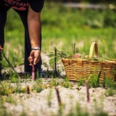 Ad Albenga il convegno "Agricoltura 4.0- Dal presente al futuro" promosso dal Rotary Club