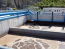Il depuratore di Borghetto Santo Spirito della Servizi Ambientali a cui viene chiesto il collettamento