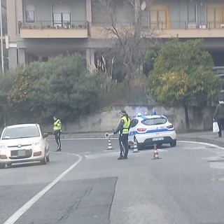 Savona, buca in via Comotto: senso unico alternato della polizia locale Savona, buca in via Comotto: senso unico alternato della polizia locale