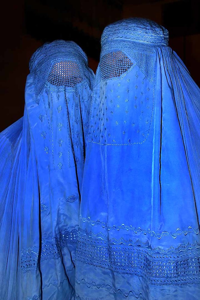 Viale: "No al burqa nelle strutture sanitarie"