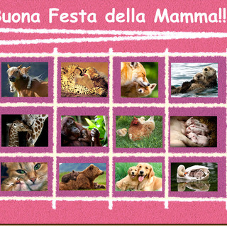 L'ENPA Savonese festeggia le "Mamme gatte"