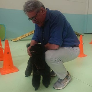 Regione Liguria, sì a certificati Asl gratuiti per cani e gatti abbandonati