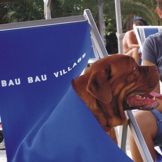 Albissola:ministro Brambilla"cani in vacanza per non morire"